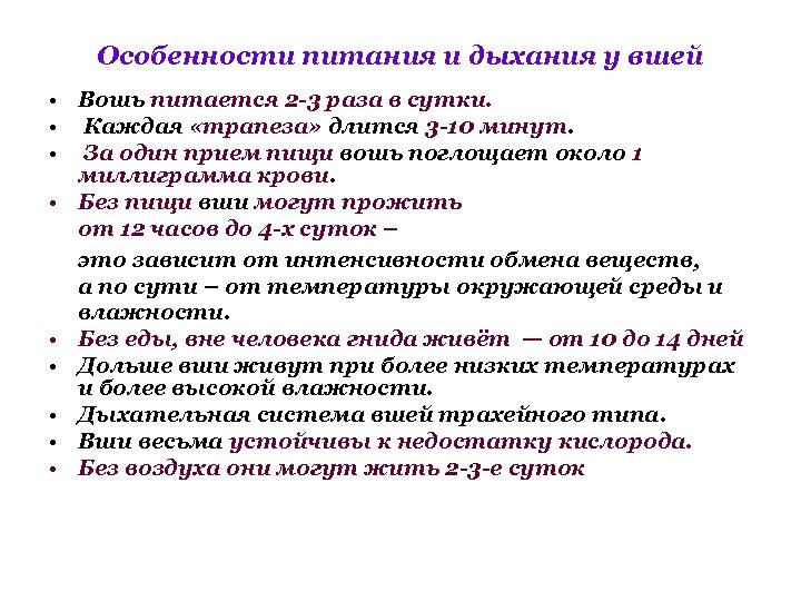 Особенности питания и дыхания у вшей • Вошь питается 2 -3 раза в сутки.