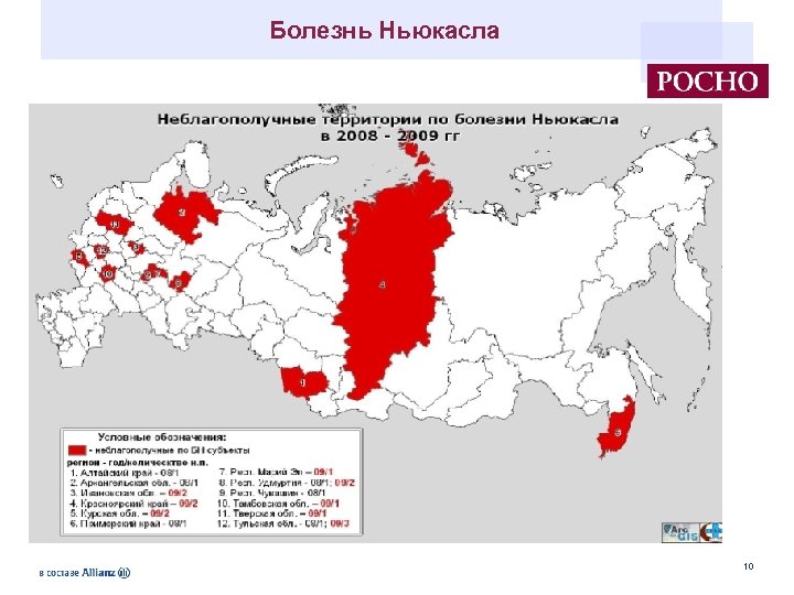 Болезнь ньюкасла презентация