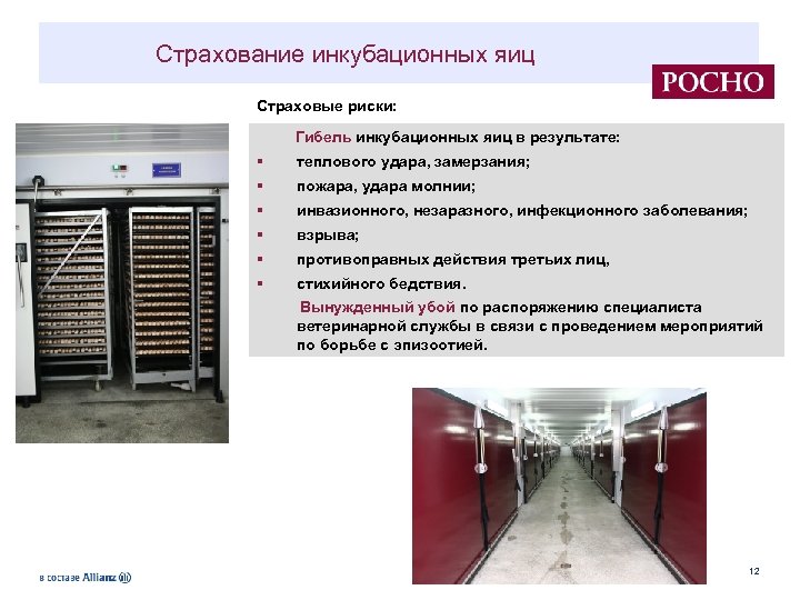 1 птицефабрика. Инструктаж для птицефабрики. Функции потребителя птицефабрики.