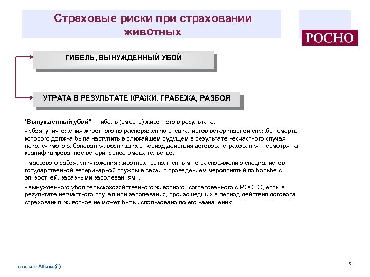 Страховые риски при страховании животных ГИБЕЛЬ, ВЫНУЖДЕННЫЙ УБОЙ УТРАТА В РЕЗУЛЬТАТЕ КРАЖИ, ГРАБЕЖА, РАЗБОЯ