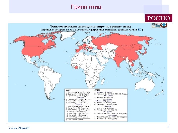 Распространение птичьего гриппа. Птичий грипп распространение. Птичий грипп статистика. Карта распространения гриппа. Грипп распространение в мире.
