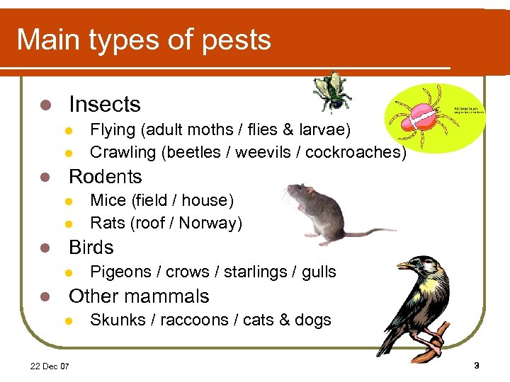 Main types of pests l Insects l l l Rodents l l l Mice