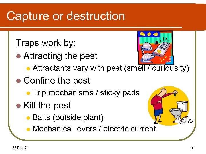 Capture or destruction Traps work by: l Attracting the pest l Attractants vary with
