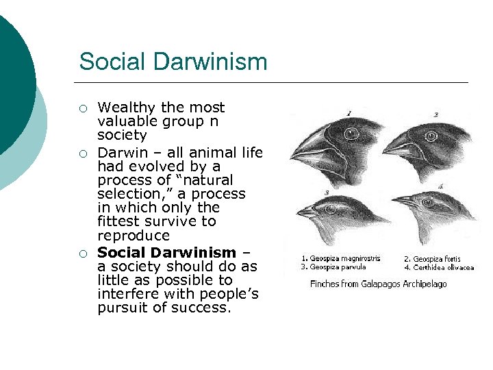 Social Darwinism ¡ ¡ ¡ Wealthy the most valuable group n society Darwin –
