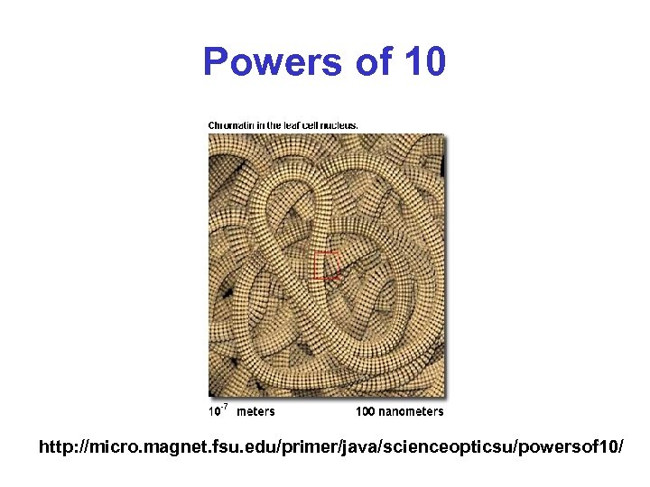 Powers of 10 http: //micro. magnet. fsu. edu/primer/java/scienceopticsu/powersof 10/ 