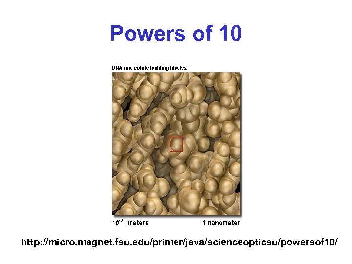 Powers of 10 http: //micro. magnet. fsu. edu/primer/java/scienceopticsu/powersof 10/ 