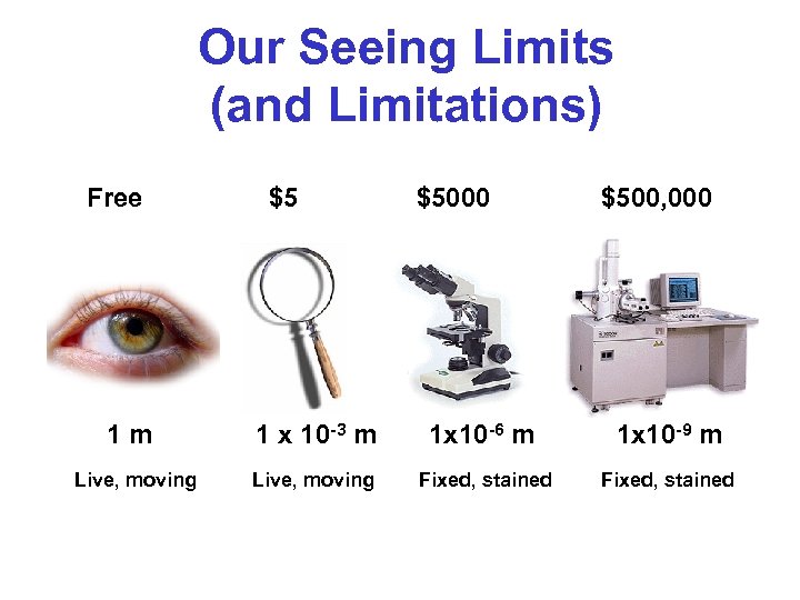 Our Seeing Limits (and Limitations) Free 1 m Live, moving $5 $5000 $500, 000