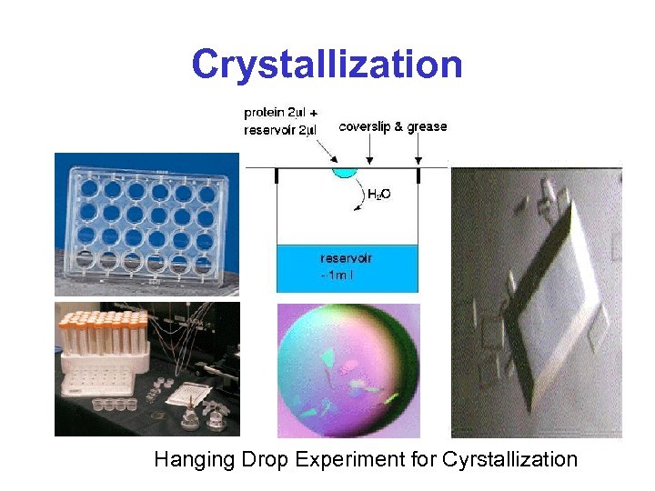 Crystallization Hanging Drop Experiment for Cyrstallization 