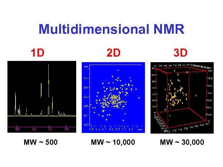 Multidimensional NMR 1 D MW ~ 500 2 D 3 D MW ~ 10,