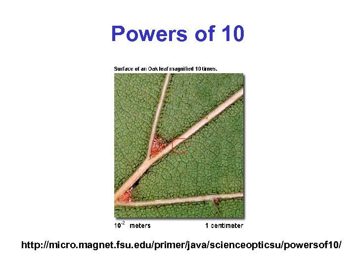 Powers of 10 http: //micro. magnet. fsu. edu/primer/java/scienceopticsu/powersof 10/ 