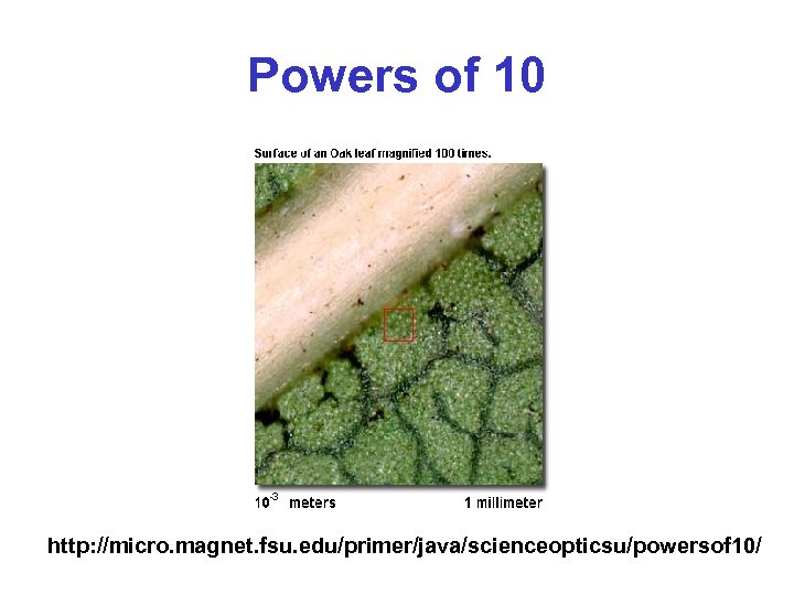 Powers of 10 http: //micro. magnet. fsu. edu/primer/java/scienceopticsu/powersof 10/ 