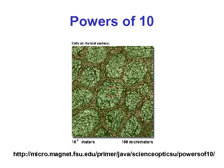 Powers of 10 http: //micro. magnet. fsu. edu/primer/java/scienceopticsu/powersof 10/ 