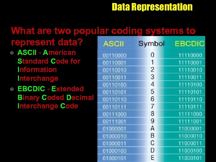 Data Representation What are two popular coding systems to represent data? ° ° ASCII