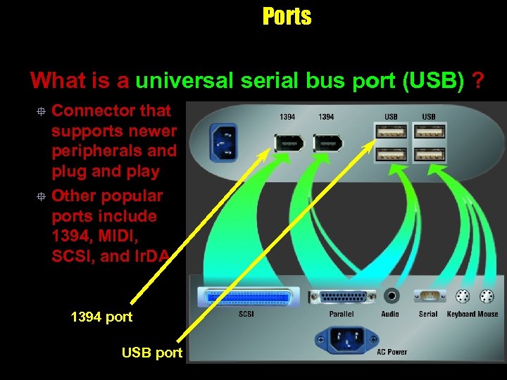 Ports What is a universal serial bus port (USB) ? Connector that supports newer