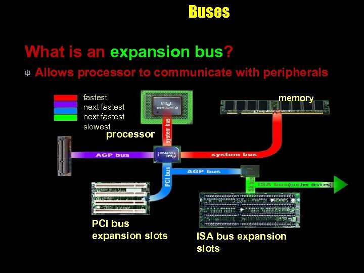 Buses What is an expansion bus? ° Allows processor to communicate with peripherals fastest