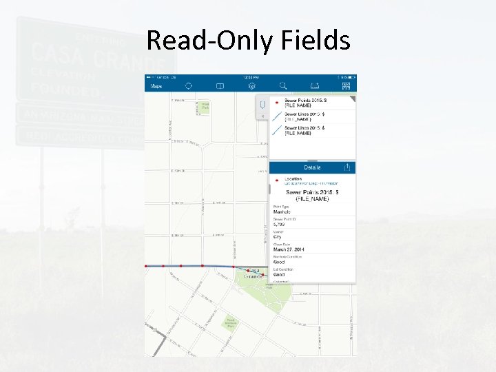 Read-Only Fields 