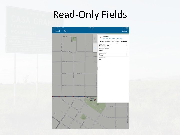 Read-Only Fields 