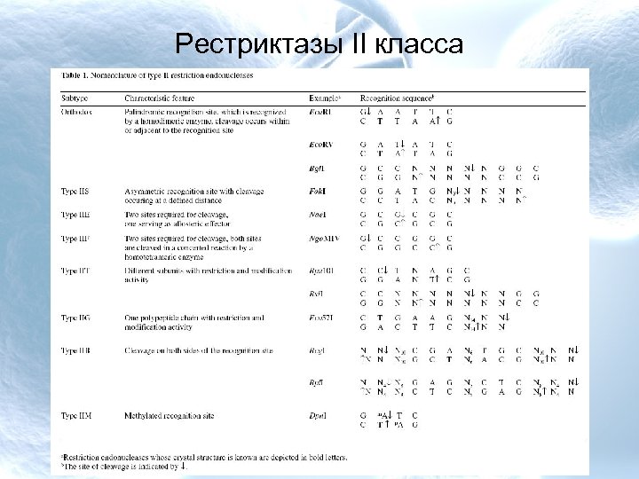 Рестриктазы II класса 