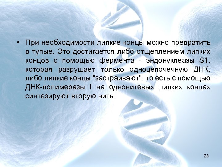  • При необходимости липкие концы можно превратить в тупые. Это достигается либо отщеплением