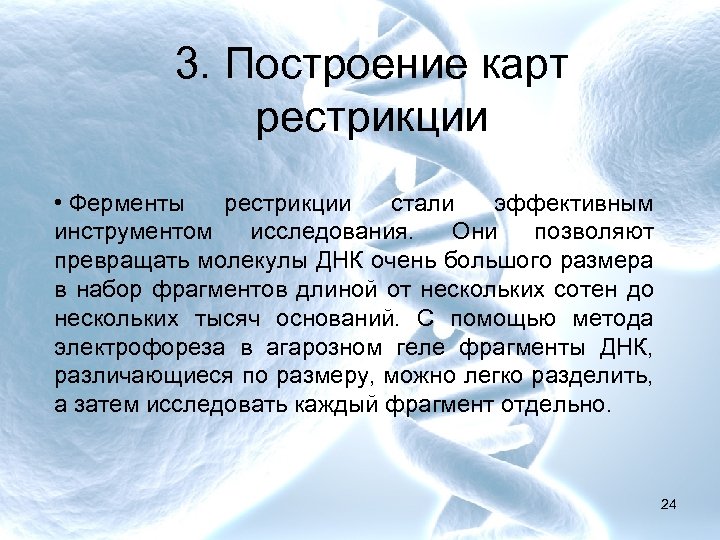 3. Построение карт рестрикции • Ферменты рестрикции стали эффективным инструментом исследования. Они позволяют превращать