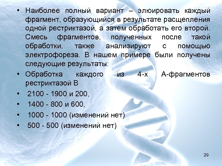  • Наиболее полный вариант – элюировать каждый фрагмент, образующийся в результате расщепления одной