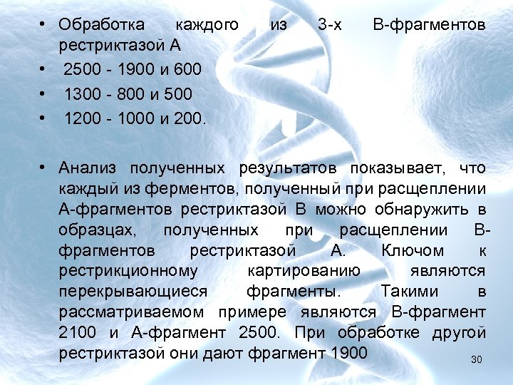  • Обработка каждого рестриктазой А • 2500 - 1900 и 600 • 1300