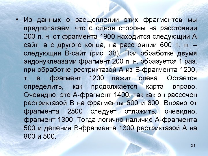  • Из данных о расщеплении этих фрагментов мы предполагаем, что с одной стороны