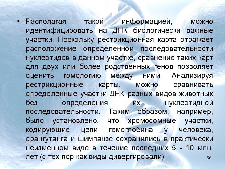  • Располагая такой информацией, можно идентифицировать на ДНК биологически важные участки. Поскольку рестрикционная