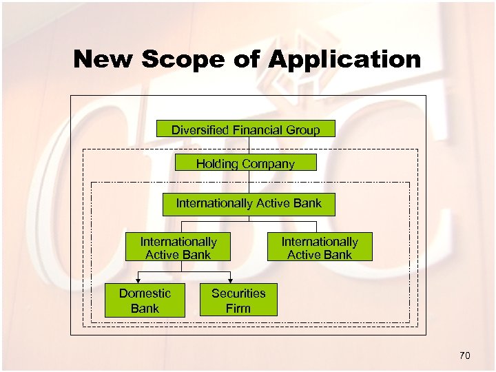 New Scope of Application Diversified Financial Group Holding Company Internationally Active Bank Domestic Bank