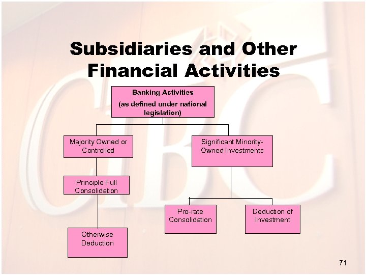 Subsidiaries and Other Financial Activities Banking Activities (as defined under national legislation) Majority Owned