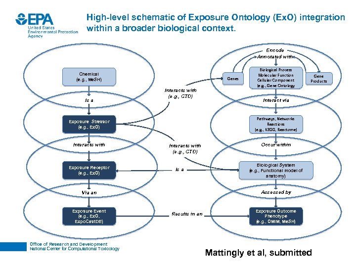 High-level schematic of Exposure Ontology (Ex. O) integration within a broader biological context. Encode