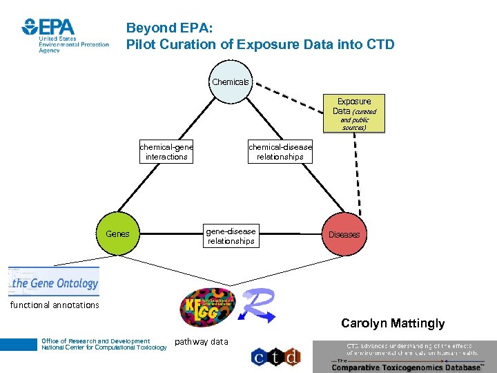 Beyond EPA: Pilot Curation of Exposure Data into CTD Chemicals Exposure Data (curated and