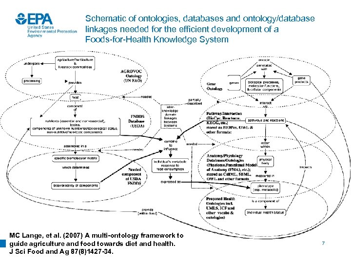 Schematic of ontologies, databases and ontology/database linkages needed for the efficient development of a