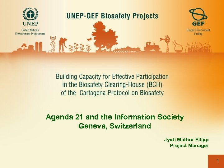 Agenda 21 and the Information Society Geneva, Switzerland Jyoti Mathur-Filipp Project Manager 1 