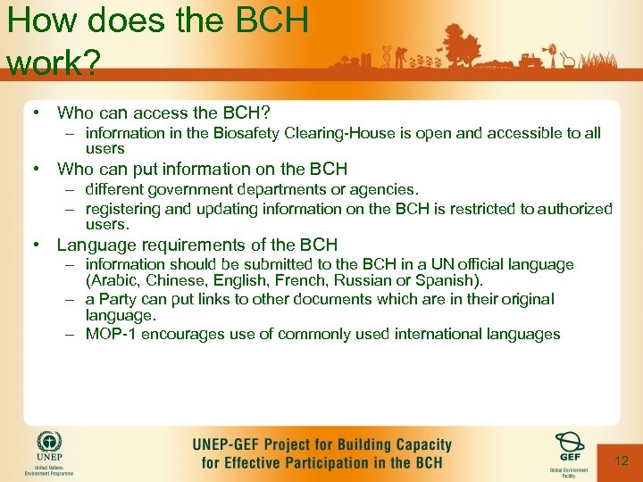 How does the BCH work? • Who can access the BCH? – information in