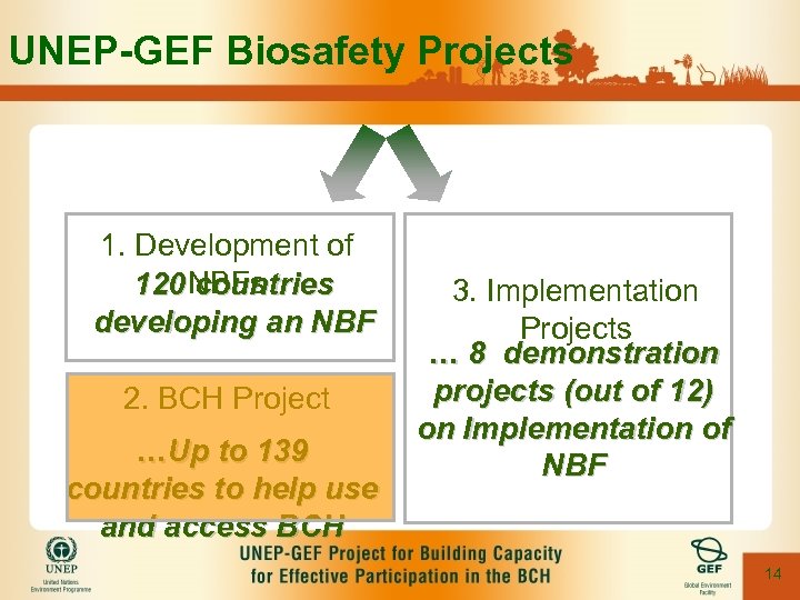 UNEP-GEF Biosafety Projects 1. Development of 120 NBFs countries developing an NBF 2. BCH