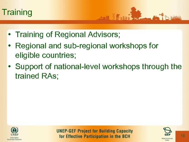 Training • Training of Regional Advisors; • Regional and sub-regional workshops for eligible countries;