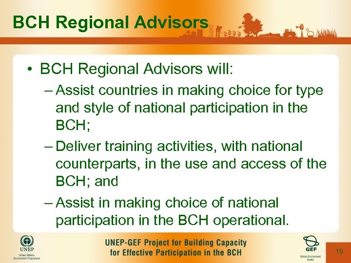 BCH Regional Advisors • BCH Regional Advisors will: – Assist countries in making choice