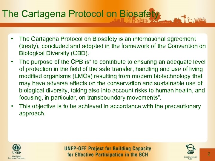 The Cartagena Protocol on Biosafety • The Cartagena Protocol on Biosafety is an international