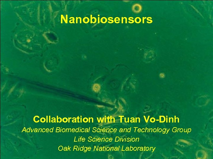 Nanobiosensors Collaboration with Tuan Vo-Dinh Advanced Biomedical Science and Technology Group Life Science Division