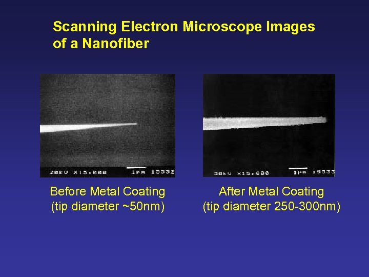 Scanning Electron Microscope Images of a Nanofiber Before Metal Coating (tip diameter ~50 nm)