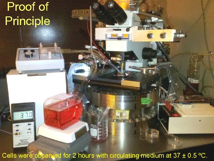 Proof of Principle Cells were observed for 2 hours with circulating medium at 37
