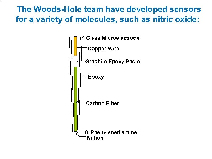 The Woods-Hole team have developed sensors for a variety of molecules, such as nitric