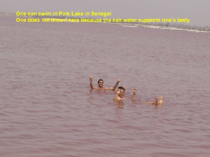 One can swim in Pink Lake in Senegal. One does not drown here because