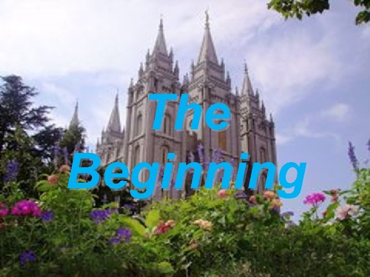 The Beginning 
