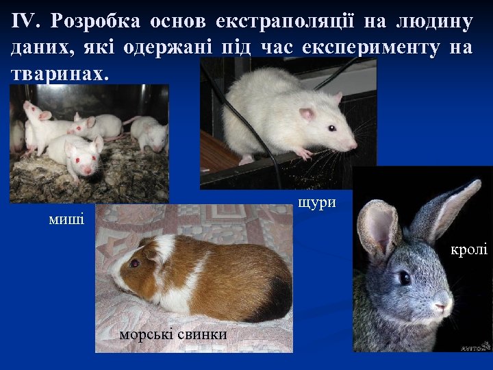 ІV. Розробка основ екстраполяції на людину даних, які одержані під час експерименту на тваринах.