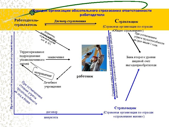 Порядок организации обязательного страхования ответственности работодателя Договор страхования (Страховая организация по отрасли «Общее страхование»