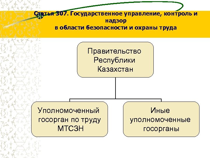 Статья 307. Государственное управление, контроль и надзор в области безопасности и охраны труда Правительство