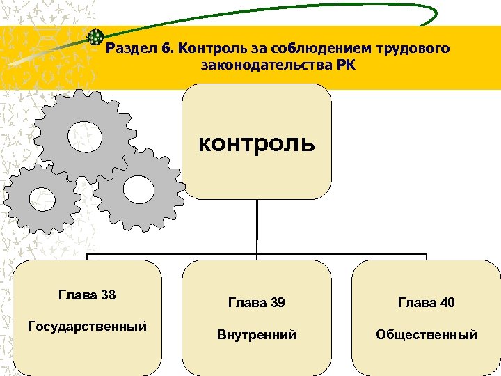 Раздел 6. Контроль за соблюдением трудового законодательства РК контроль Глава 38 Государственный Глава 39
