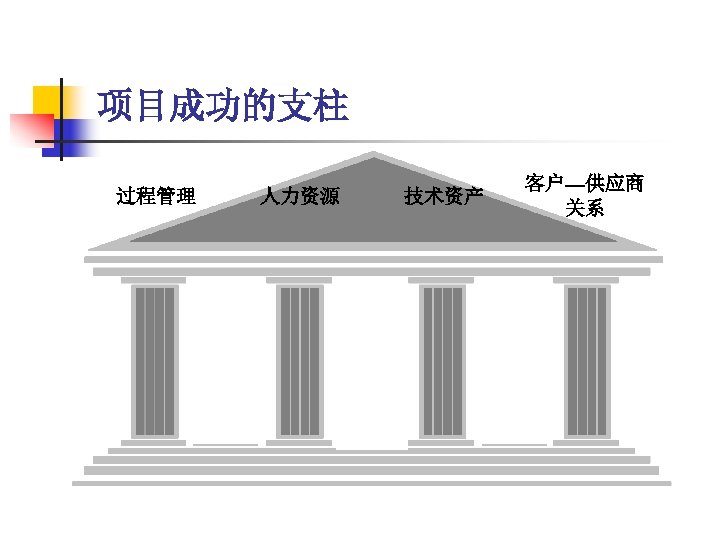 项目成功的支柱 过程管理 人力资源 技术资产 客户—供应商 关系 